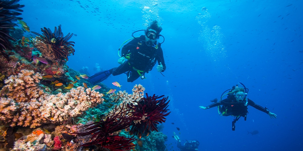 gappgroup_FromTheLandDownUnderAustralia_Image1_1000x500_2